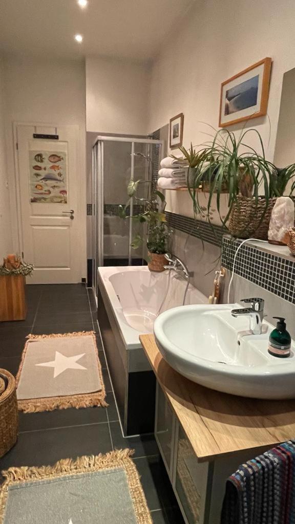 Apartment Gemutliche In Gohlis Leipzig